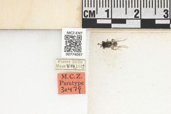 Media type: image;   Entomology 774097 Aspect: Labels